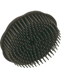 Cepillo Masaje