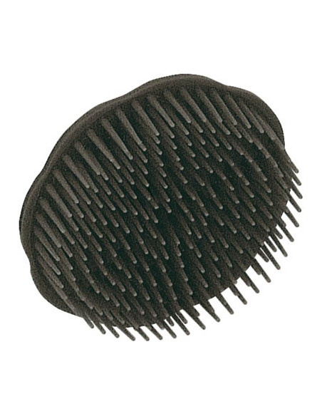 Cepillo Masaje
