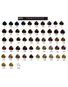 Tinte Diarichesse Loreal 50Ml 2