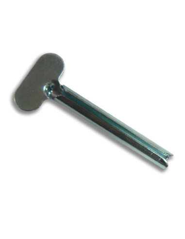 Exprimidor Tinte Metalico