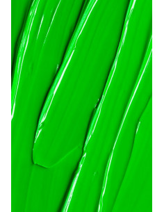 Gel Paint Andreia Neon Green 4Ml 2