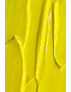 Gel Paint Andreia Neon Yellow 4Ml 2