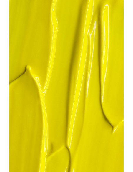 Gel Paint Andreia Neon Yellow 4Ml