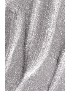 Gel Paint Andreia Silver 4Ml 2