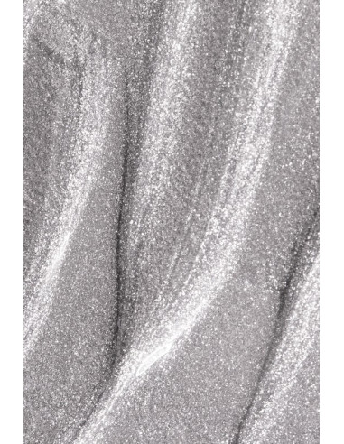 Gel Paint Andreia Silver 4Ml