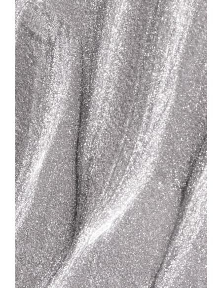 Gel Paint Andreia Silver 4Ml
