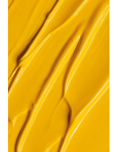 Gel Paint Andreia Amarillo Yellow 4Ml 2