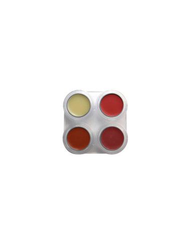 Paleta Pintalabios Grimas Mate 4 Colores