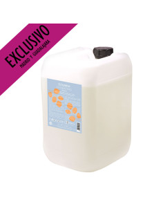 Champú Vegano Hidratante Secos Echos Garrafa 10L