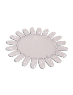 Carta Color Esmaltes Vacia