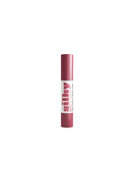 Lápiz Labial Crayon Silky Matte Andreia Nº 1 Plum