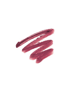 Lápiz Labial Crayon Silky Matte Andreia Nº 1 Plum 2
