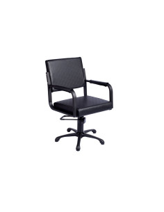 Sillon Peluquería Silvana Pie Estrella Bomba Hidraulica