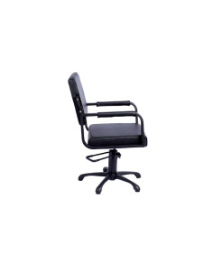 Sillon Peluquería Silvana Pie Estrella Bomba Hidraulica 2