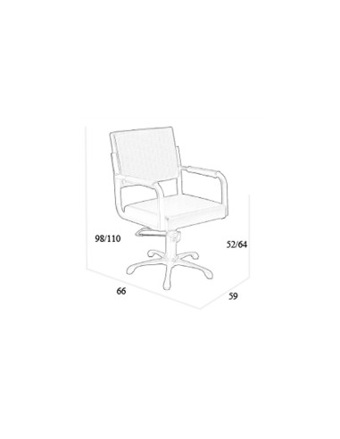 Sillon Peluquería Silvana Pie Estrella Bomba Hidraulica