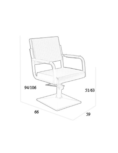 Sillon Peluquería Silvana Pie Cuadrado Bomba Hidraulica