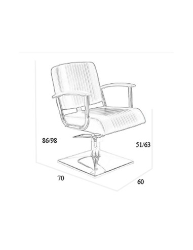 Sillon Peluquería Zinnia Pie Cuadrado Bomba Hidraulica