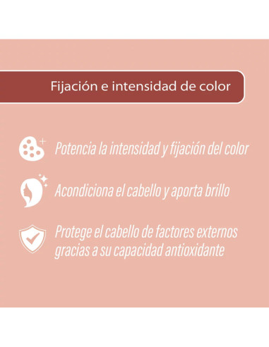 Ampolla Nirvel Intensidad Y Fijación Color Fixer 5Ml