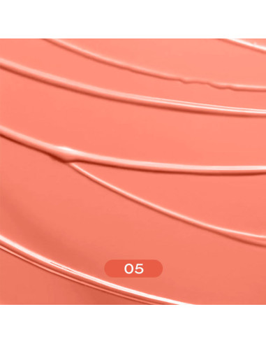 Colorete 4 En 1 Eveline Wonder Match Nº5