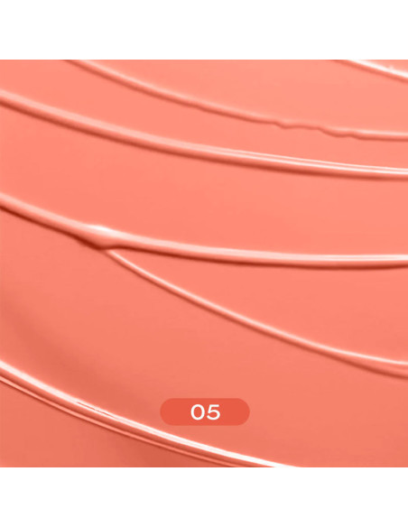 Colorete 4 En 1 Eveline Wonder Match Nº5