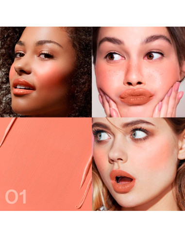 Colorete 4 En 1 Eveline Wonder Match Nº1