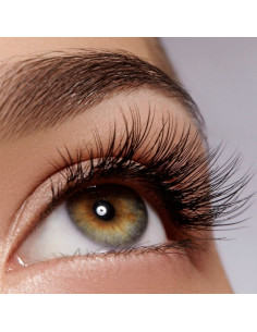 Sérum Fortalecedor Pestañas y Cejas Eveline 8 En 1 2