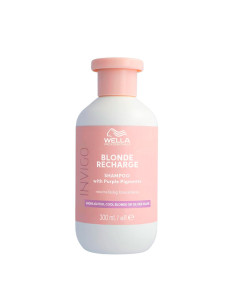 Champú Wella Invigo Color Brillance Cabello Grueso 300Ml