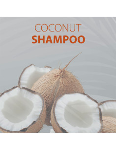 Champú Hidratante Nirvel Coconut 500Ml 2