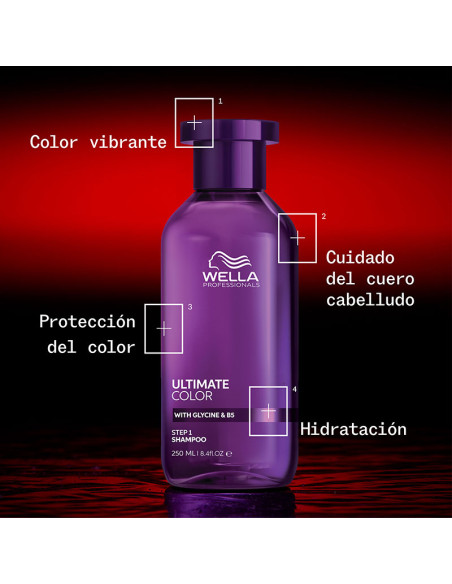 Champú Sin Sulfatos Wella Ultimate Color 250Ml