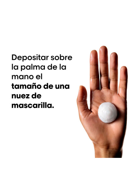 Mascarilla Loreal Expert Metal Detox 500Ml