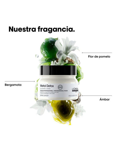 Mascarilla Loreal Expert Metal Detox 500Ml