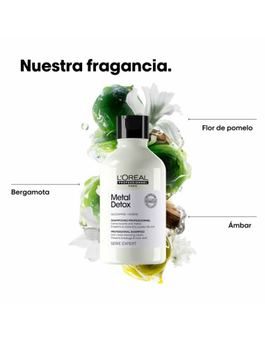 Champu Loreal Expert Metal Detox 500Ml