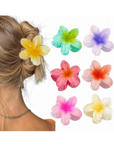 Pinza Pelo Mariposa Colores