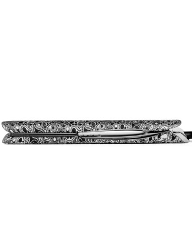 Kit Plancha Corioliss C5 Silver Paisley + Secador Apolo Regalo