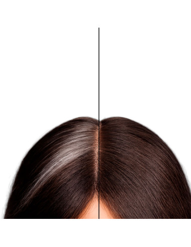 Corrector Canas En Polvo Bifull Cover Fibers Marrón Oscuro 12Gr