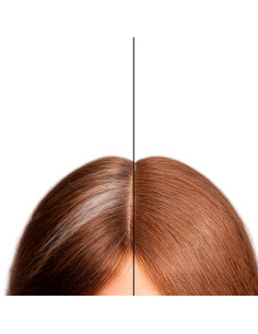Corrector Canas En Polvo Bifull Cover Fibers Marrón Claro 12Gr 2
