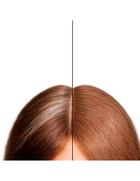 Corrector Canas En Polvo Bifull Cover Fibers Marrón Claro 12Gr