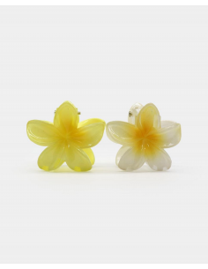 Pinza Pelo Flores Mini Hawaianas Colores Pack 2 Unid
