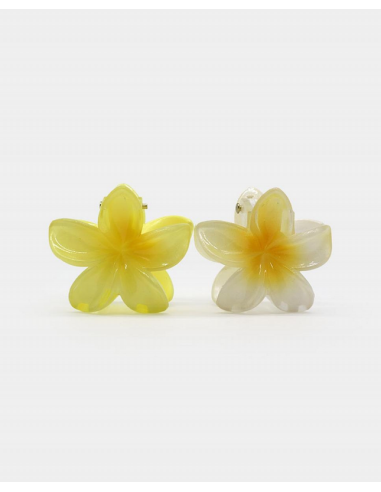 Pinza Pelo Flores Mini Hawaianas Colores Pack 2 Unid