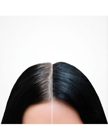 Corrector Canas En Polvo Bifull Cover Fibers Negro 12Gr
