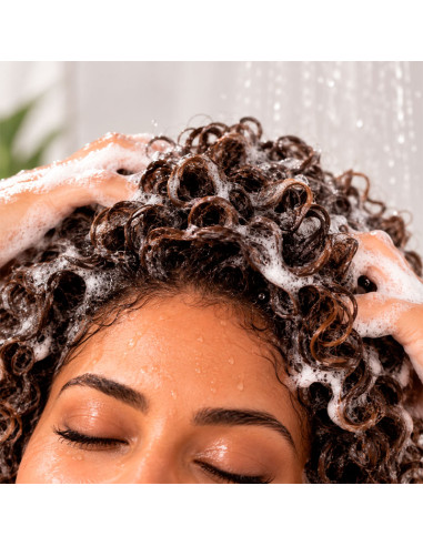 Champú Natu Hair Rizos Perfectos 500Ml