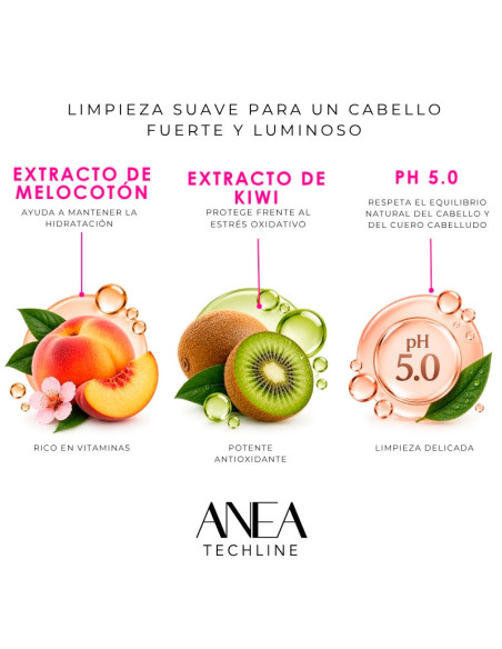 Champú Reparación Profunda Anea Stop Frizz 1 Litro