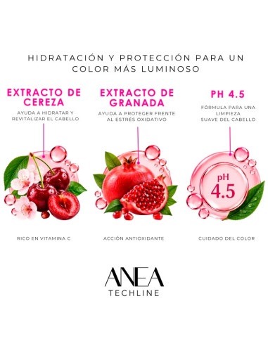 Champú Protección Color Anea 1 Litro