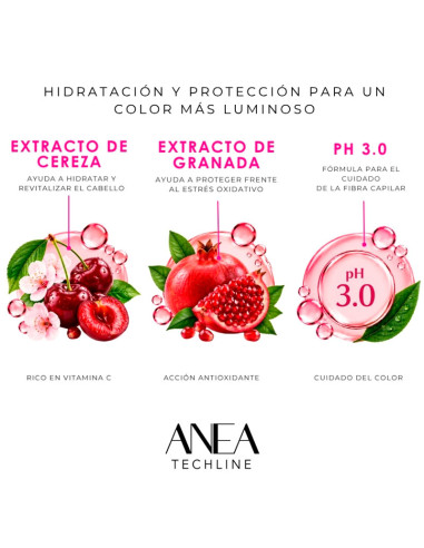 Mascarilla Protección Color Anea 450Ml