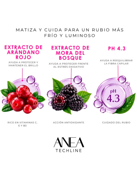 Champú Antiamarillos Anea No More Yellow 450Ml