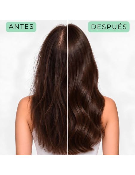 Ampollas Anticaida Fortificantes Y Energizantes Anea 12X10Ml