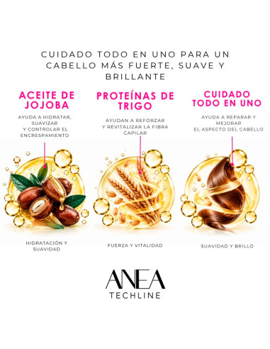 Spray Tratamiento Anea 10 Acciones All In One 175Ml