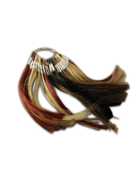 Muestrario Color Extensiones Cabello Tejido