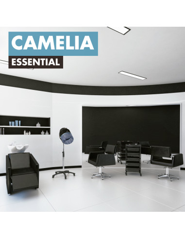 Conjunto Peluqueria Camelia