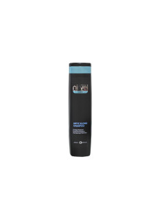 Champu Nirvel Artic Blond Rubios 250Ml